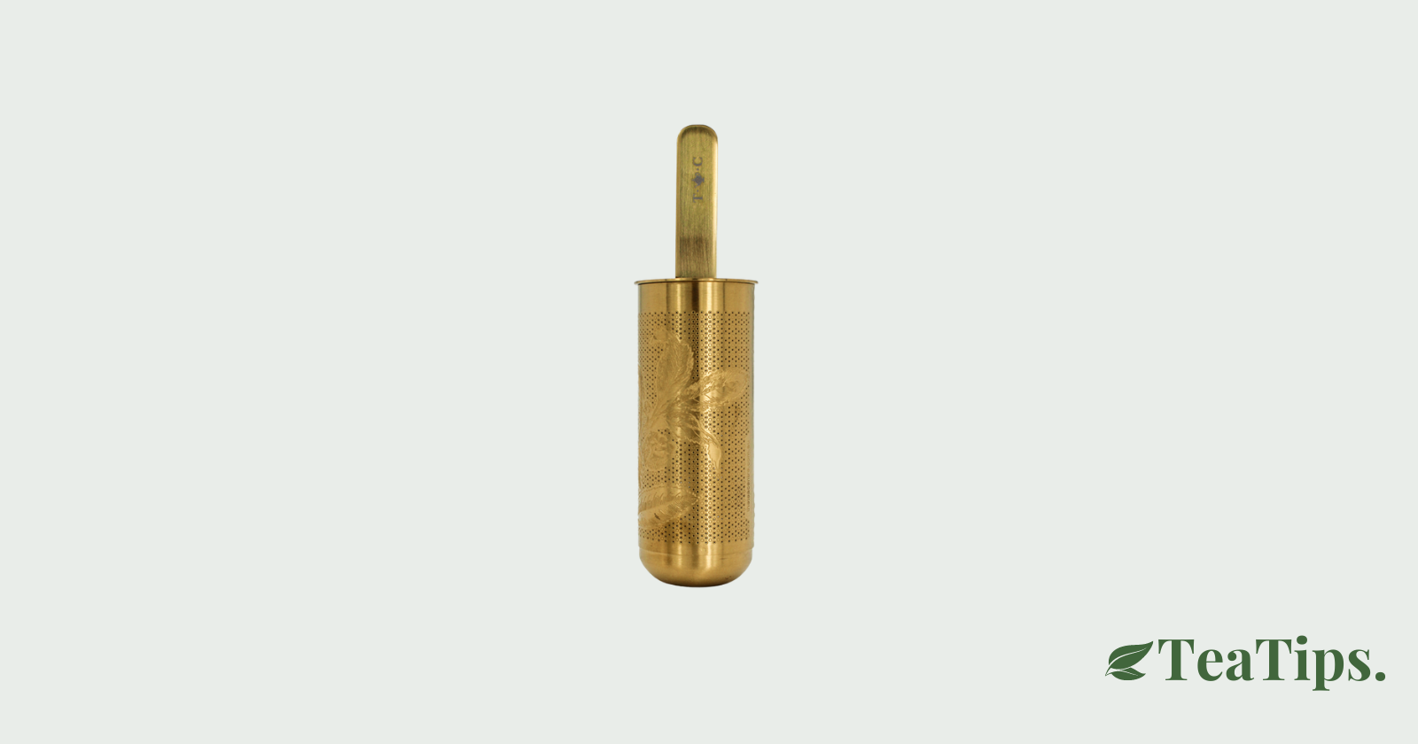 10 of the Best Tea Infusers Australian Guide TeaTips